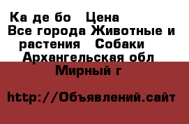 Ка де бо › Цена ­ 25 000 - Все города Животные и растения » Собаки   . Архангельская обл.,Мирный г.